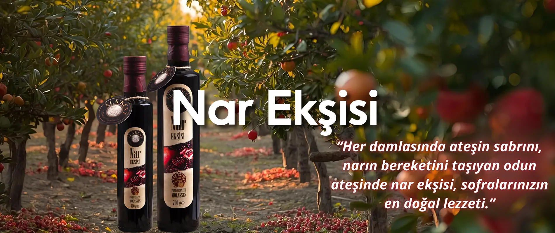 nar ekşisi